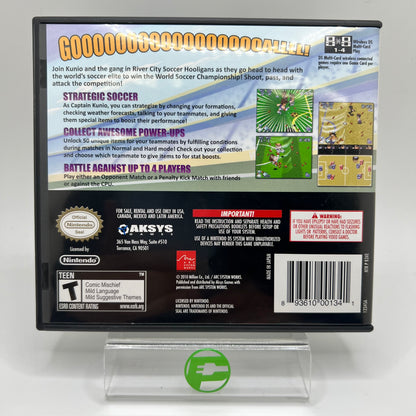 River City Soccer Hooligans (Nintendo DS,  2010)
